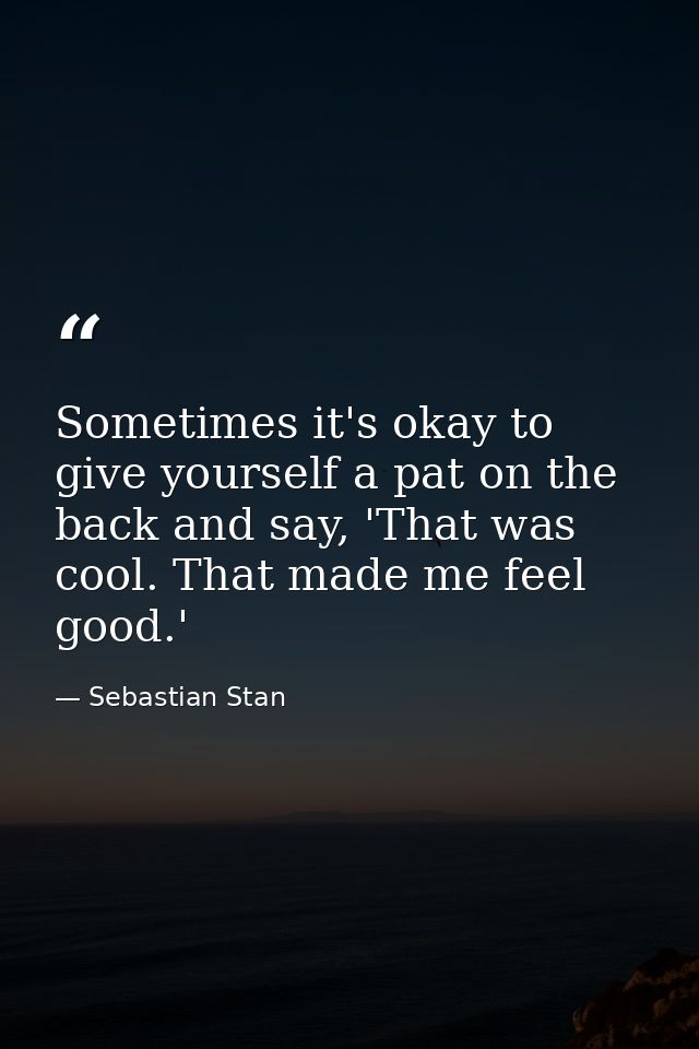Sometimes it's okay to give yourself a pat on the back and say, 'That was cool. That made me feel good.' — Sebastian Stan