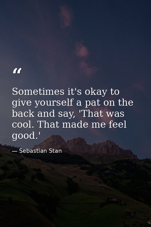 Sometimes it's okay to give yourself a pat on the back and say, 'That was cool. That made me feel good.' — Sebastian Stan