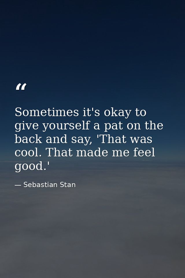 Sometimes it's okay to give yourself a pat on the back and say, 'That was cool. That made me feel good.' — Sebastian Stan