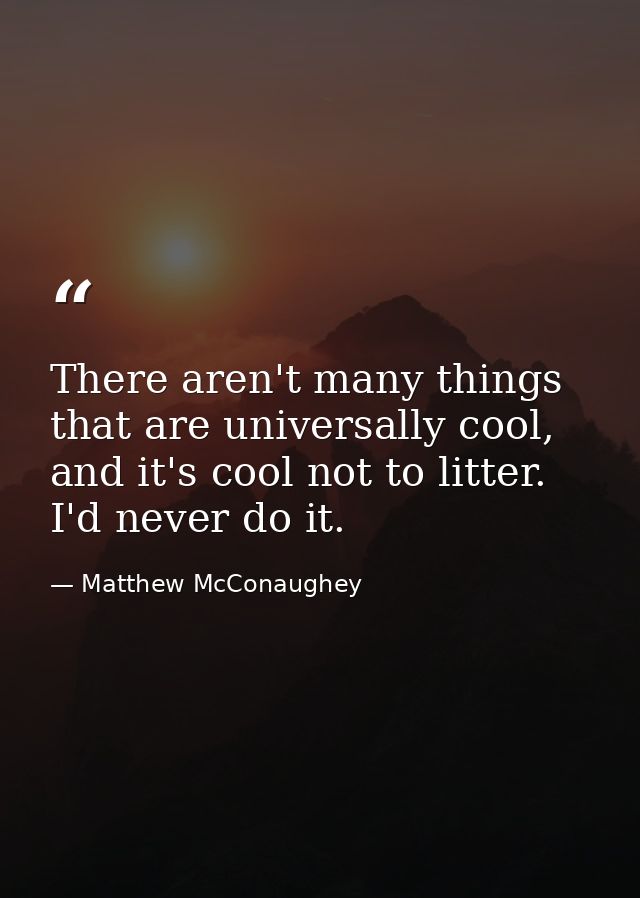 There aren't many things that are universally cool, and it's cool not to litter. I'd never do it. — Matthew McConaughey