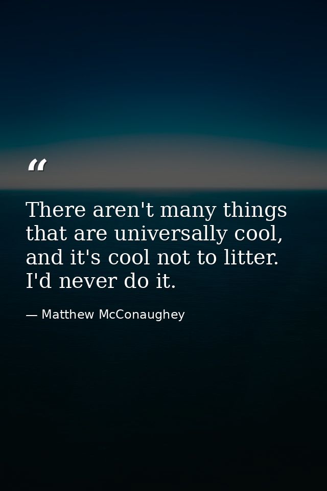 There aren't many things that are universally cool, and it's cool not to litter. I'd never do it. — Matthew McConaughey