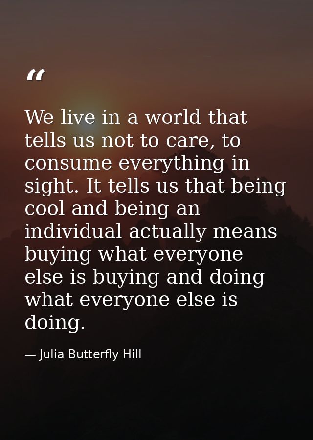 We live in a world that tells us not to care, to consume everything in sight. It tells us that being cool and being an i — Julia Butterfly Hill