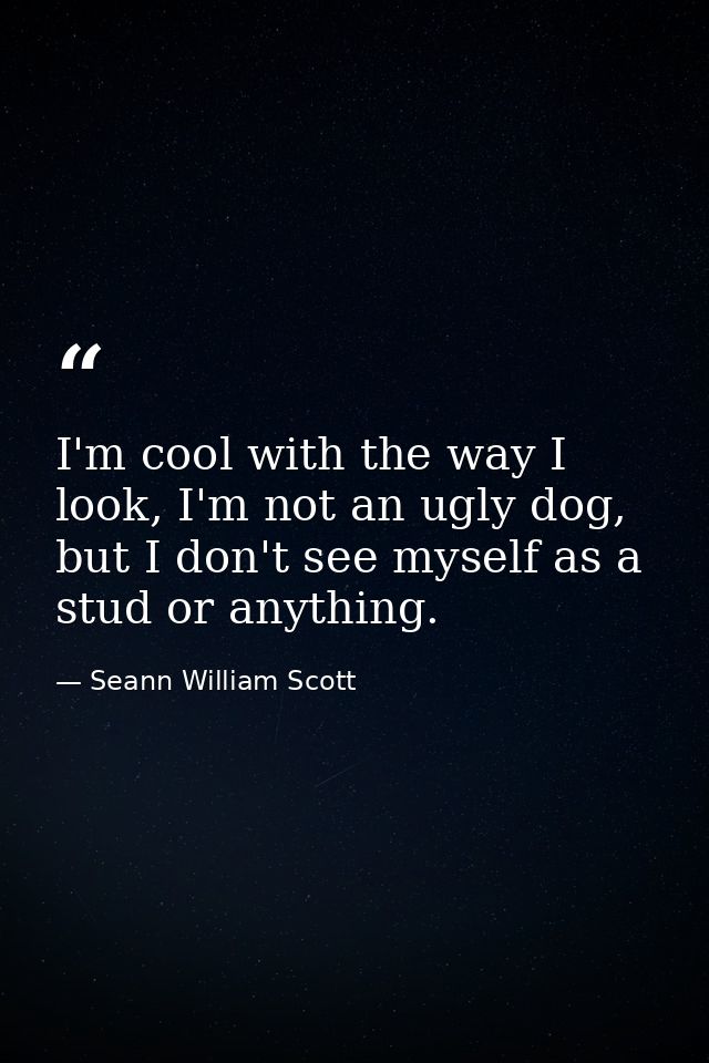 I'm cool with the way I look, I'm not an ugly dog, but I don't see myself as a stud or anything. — Seann William Scott