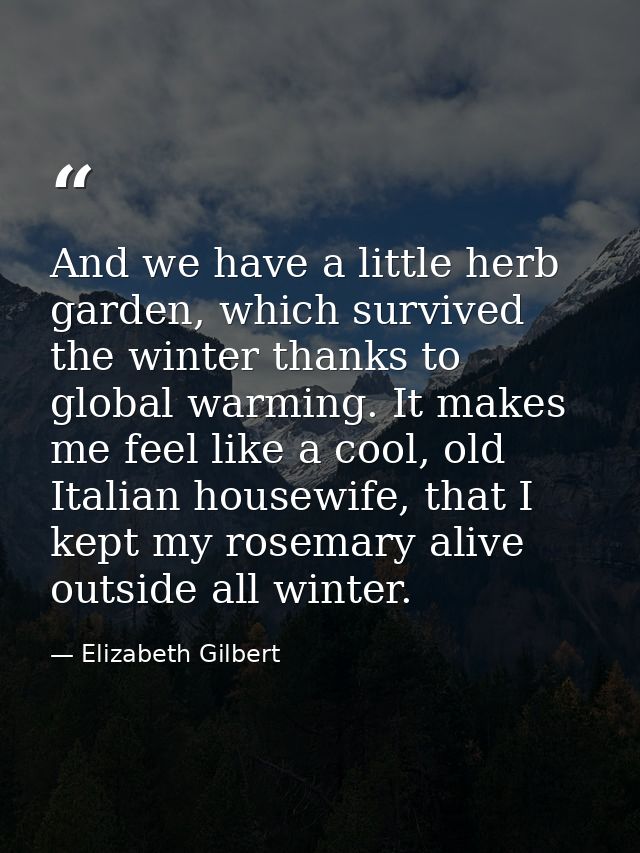 And we have a little herb garden, which survived the winter thanks to global warming. It makes me feel like a cool, old  — Elizabeth Gilbert