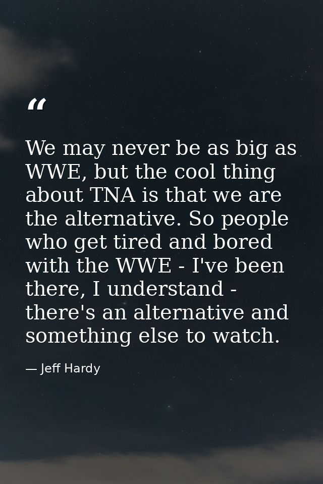 We may never be as big as WWE, but the cool thing about TNA is that we are the alternative. So people who get tired and  — Jeff Hardy
