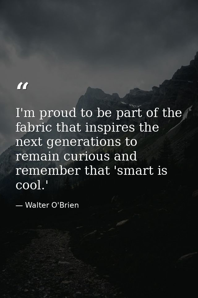 I'm proud to be part of the fabric that inspires the next generations to remain curious and remember that 'smart is cool — Walter O'Brien