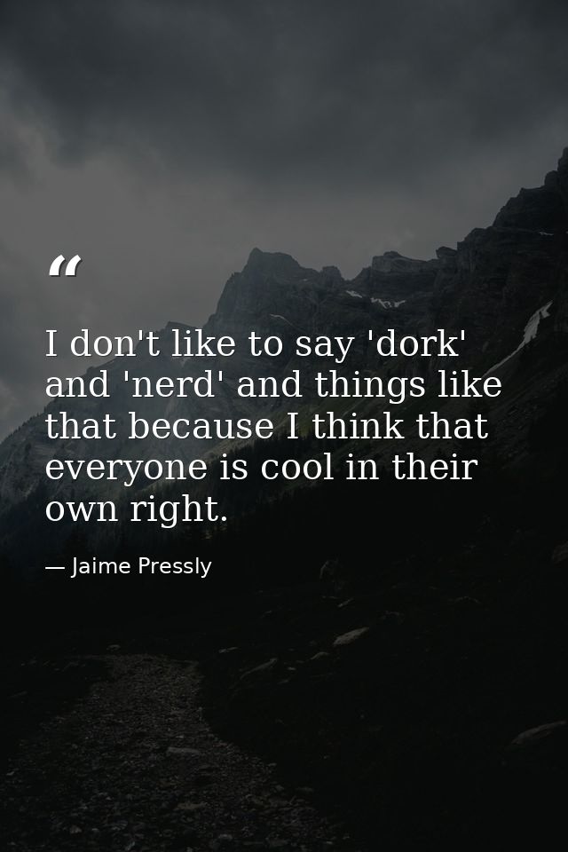 I don't like to say 'dork' and 'nerd' and things like that because I think that everyone is cool in their own right. — Jaime Pressly