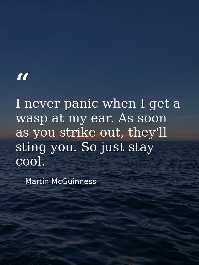 I never panic when I get a wasp at my ear. As soon as you strike out, they'll sting you. So just stay cool. — Martin McGuinness