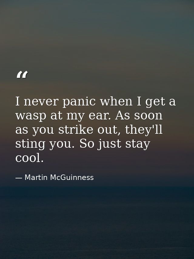 I never panic when I get a wasp at my ear. As soon as you strike out, they'll sting you. So just stay cool. — Martin McGuinness