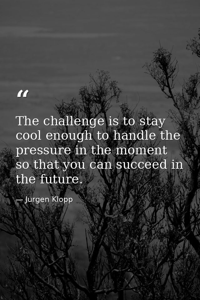 The challenge is to stay cool enough to handle the pressure in the moment so that you can succeed in the future. — Jurgen Klopp