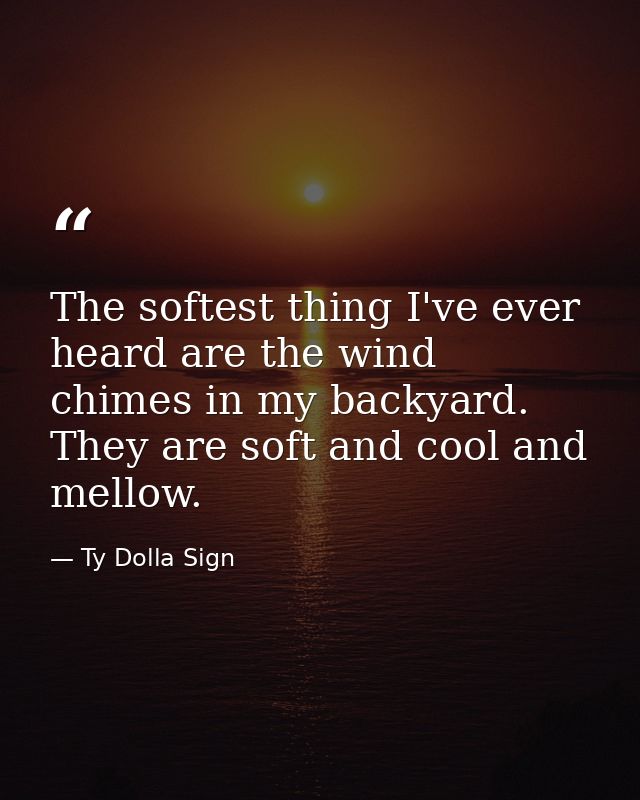 The softest thing I've ever heard are the wind chimes in my backyard. They are soft and cool and mellow. — Ty Dolla Sign