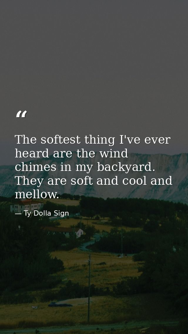 The softest thing I've ever heard are the wind chimes in my backyard. They are soft and cool and mellow. — Ty Dolla Sign