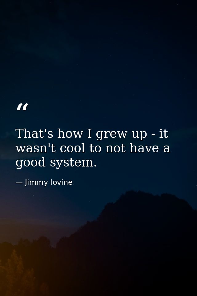 That's how I grew up - it wasn't cool to not have a good system. — Jimmy Iovine