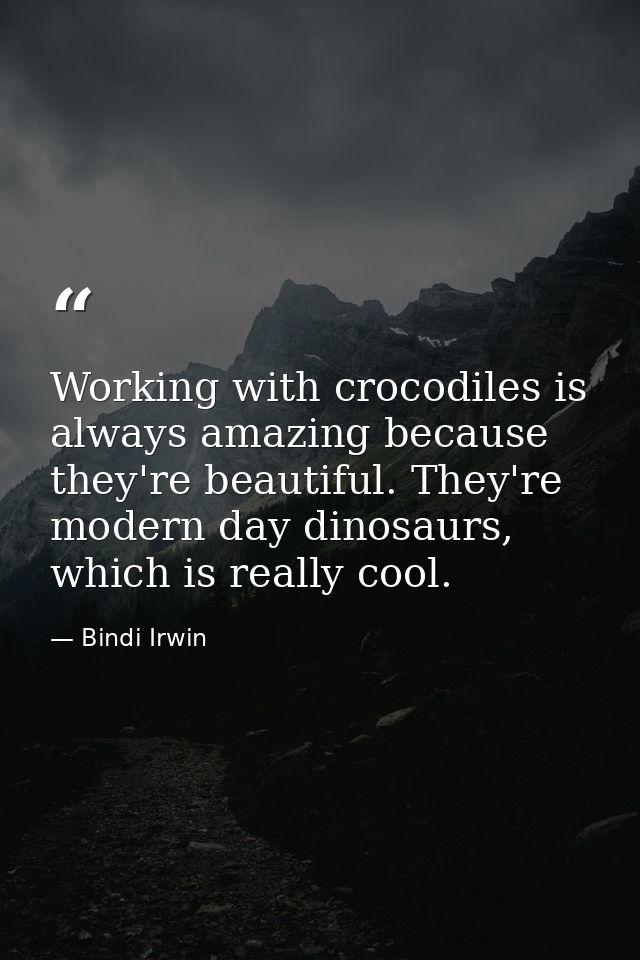 Working with crocodiles is always amazing because they're beautiful. They're modern day dinosaurs, which is really cool. — Bindi Irwin