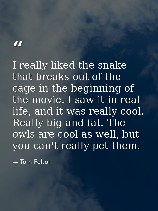 I really liked the snake that breaks out of the cage in the beginning of the movie. I saw it in real life, and it was re — Tom Felton