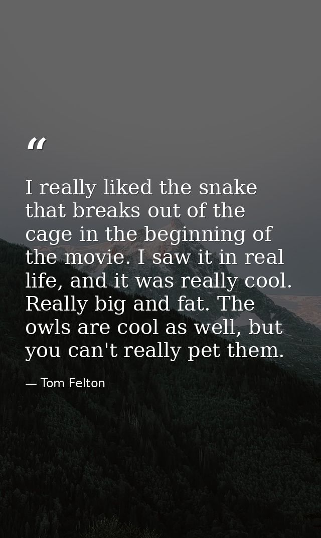 I really liked the snake that breaks out of the cage in the beginning of the movie. I saw it in real life, and it was re — Tom Felton