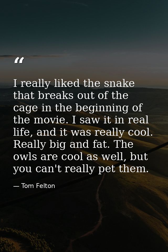 I really liked the snake that breaks out of the cage in the beginning of the movie. I saw it in real life, and it was re — Tom Felton