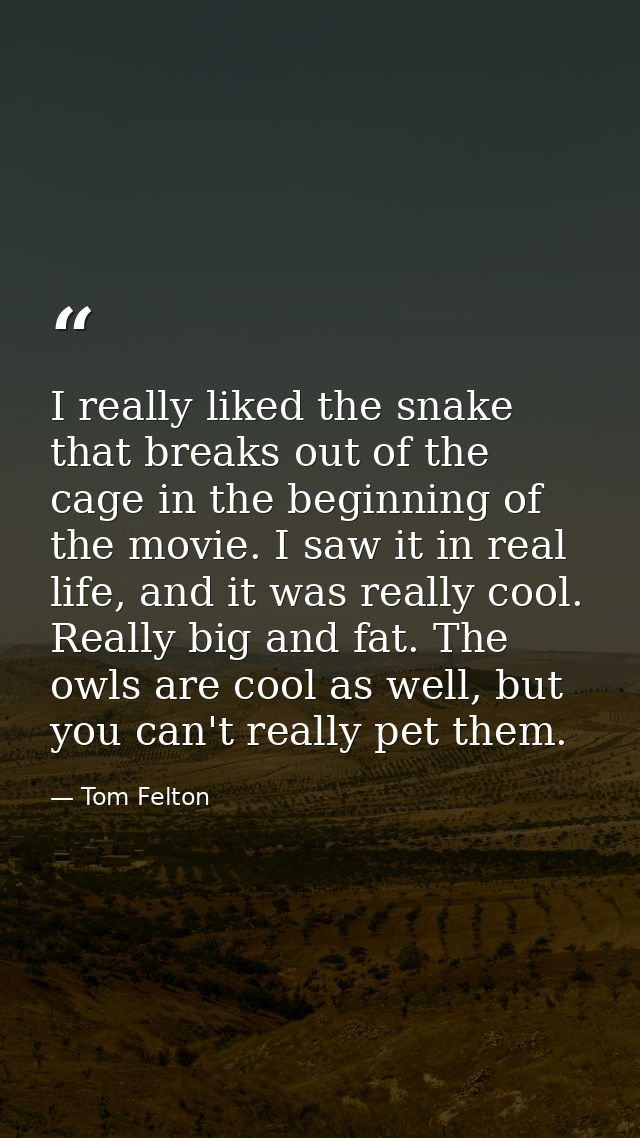 I really liked the snake that breaks out of the cage in the beginning of the movie. I saw it in real life, and it was re — Tom Felton
