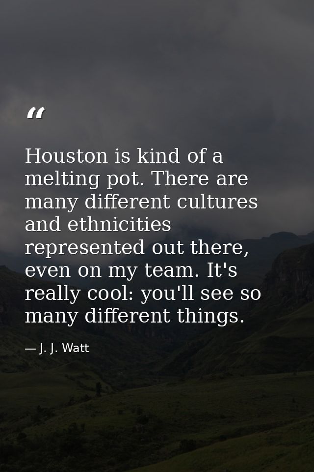 Houston is kind of a melting pot. There are many different cultures and ethnicities represented out there, even on my te — J. J. Watt