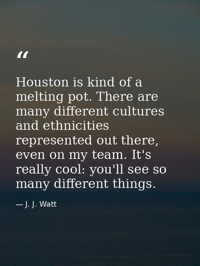 Houston is kind of a melting pot. There are many different cultures and ethnicities represented out there, even on my te — J. J. Watt