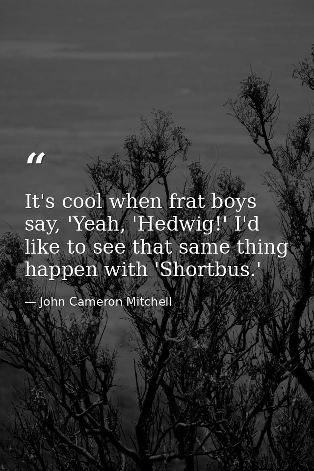 It's cool when frat boys say, 'Yeah, 'Hedwig!' I'd like to see that same thing happen with 'Shortbus.' — John Cameron Mitchell