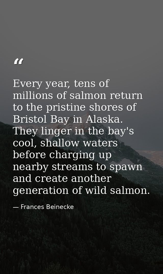 Every year, tens of millions of salmon return to the pristine shores of Bristol Bay in Alaska. They linger in the bay's  — Frances Beinecke