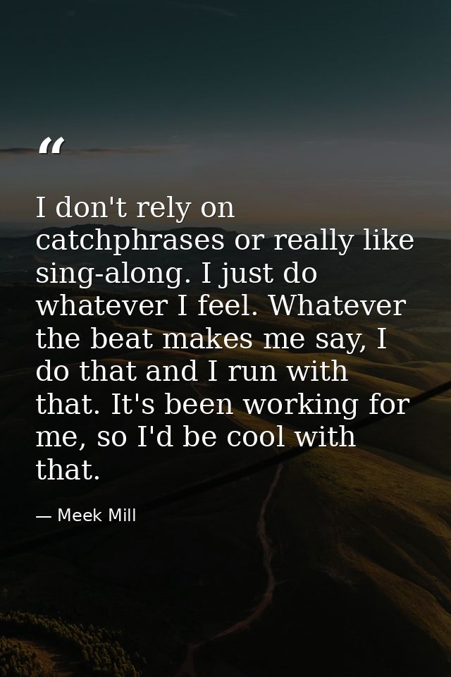 I don't rely on catchphrases or really like sing-along. I just do whatever I feel. Whatever the beat makes me say, I do  — Meek Mill