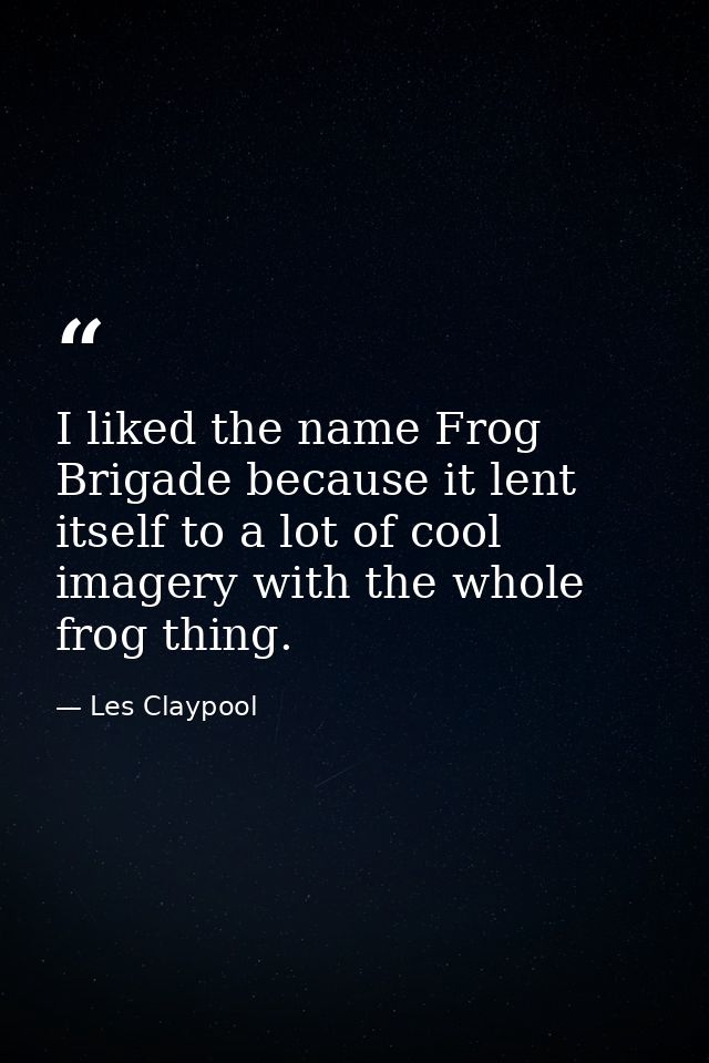 I liked the name Frog Brigade because it lent itself to a lot of cool imagery with the whole frog thing. — Les Claypool