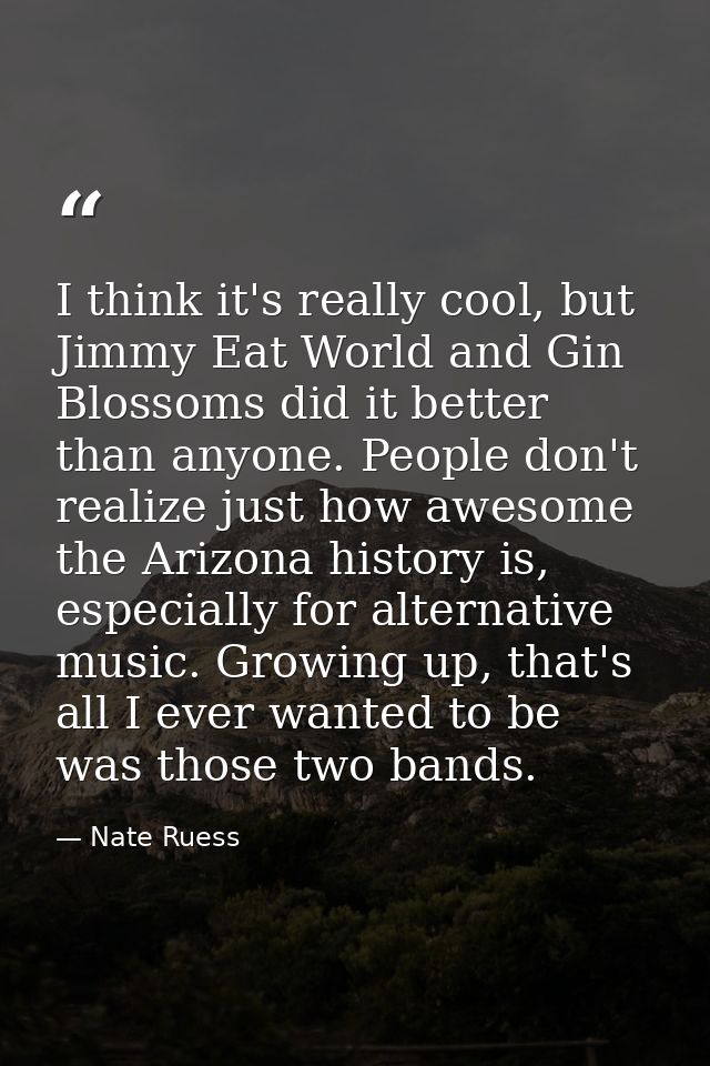 I think it's really cool, but Jimmy Eat World and Gin Blossoms did it better than anyone. People don't realize just how  — Nate Ruess
