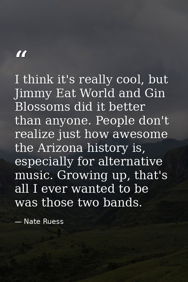 I think it's really cool, but Jimmy Eat World and Gin Blossoms did it better than anyone. People don't realize just how  — Nate Ruess