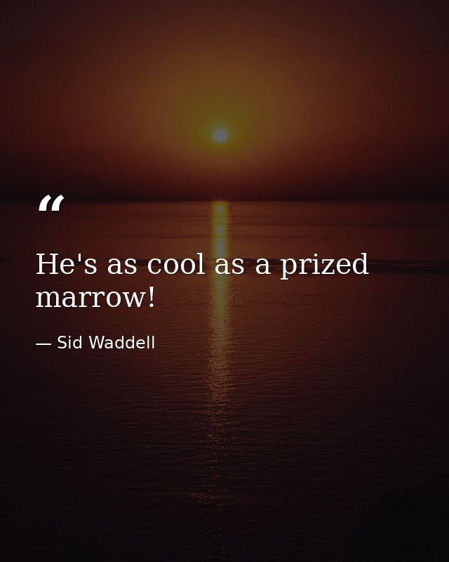 He's as cool as a prized marrow! — Sid Waddell