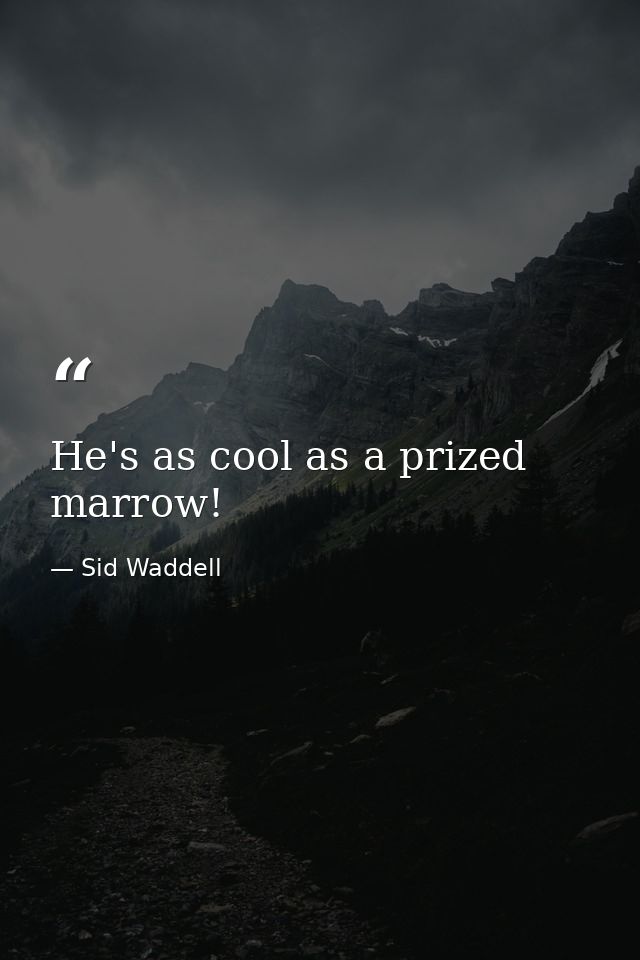 He's as cool as a prized marrow! — Sid Waddell