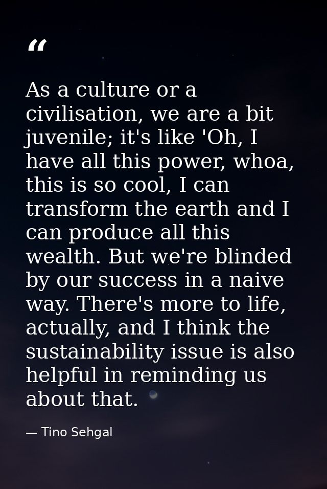 As a culture or a civilisation, we are a bit juvenile; it's like 'Oh, I have all this power, whoa, this is so cool, I ca — Tino Sehgal