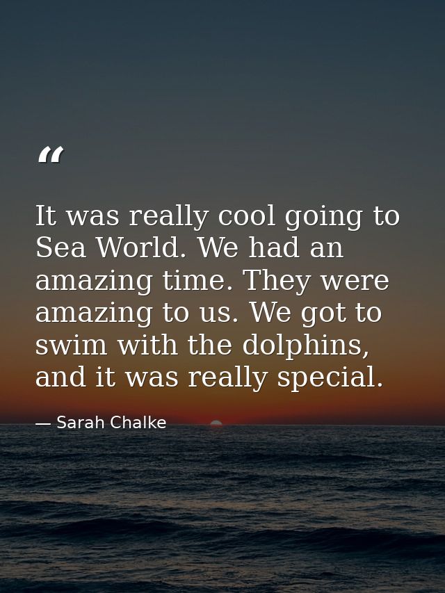 It was really cool going to Sea World. We had an amazing time. They were amazing to us. We got to swim with the dolphins — Sarah Chalke