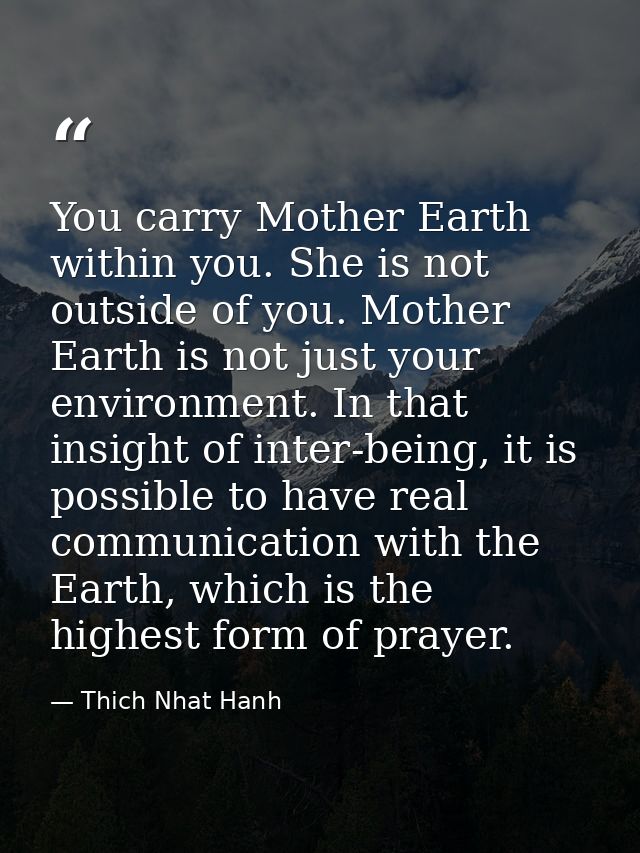You carry Mother Earth within you. She is not outside of you. Mother Earth is not just your environment. In that insight — Thich Nhat Hanh