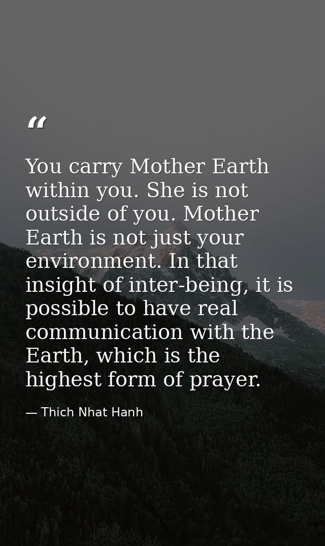 You carry Mother Earth within you. She is not outside of you. Mother Earth is not just your environment. In that insight — Thich Nhat Hanh