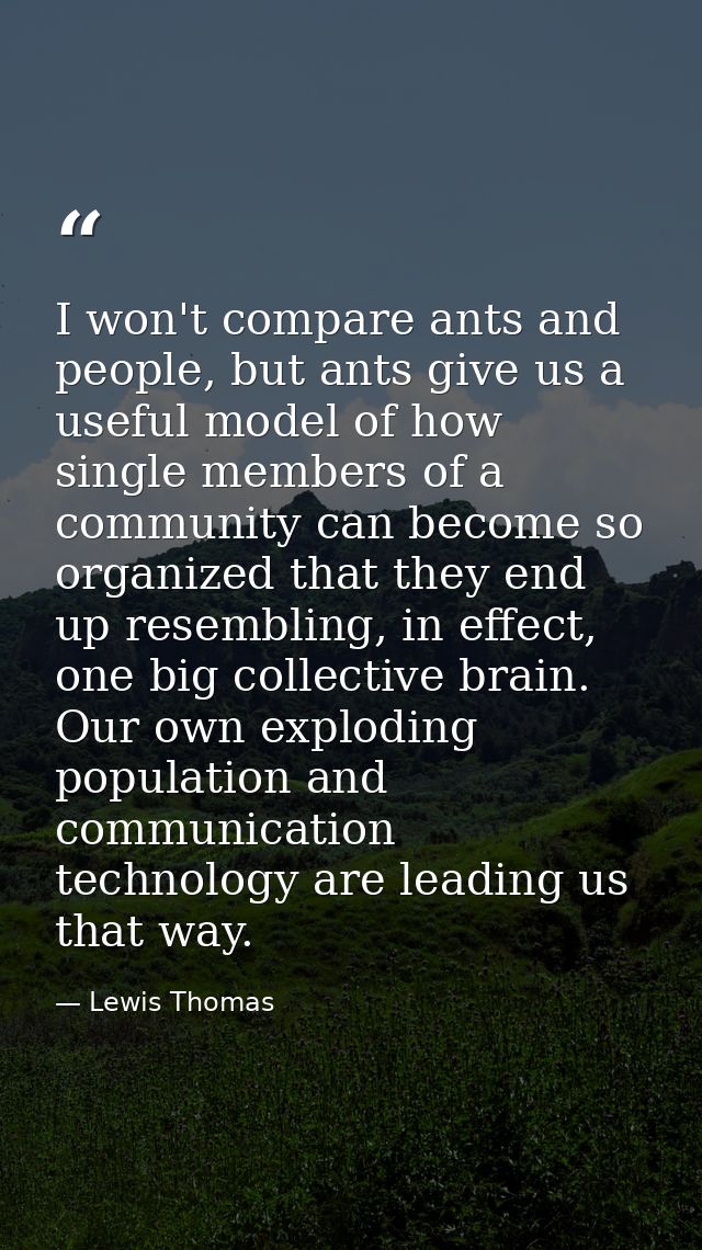 I won't compare ants and people, but ants give us a useful model of how single members of a community can become so orga — Lewis Thomas