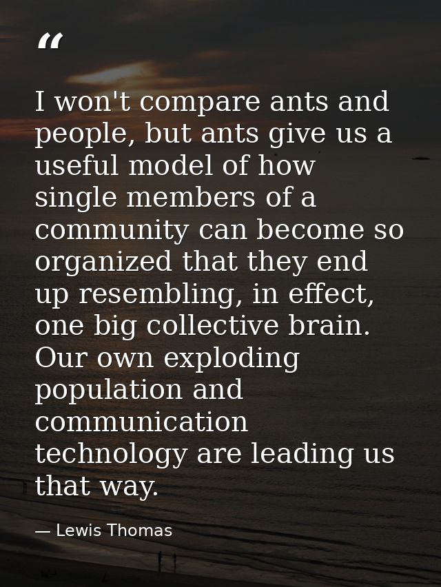 I won't compare ants and people, but ants give us a useful model of how single members of a community can become so orga — Lewis Thomas
