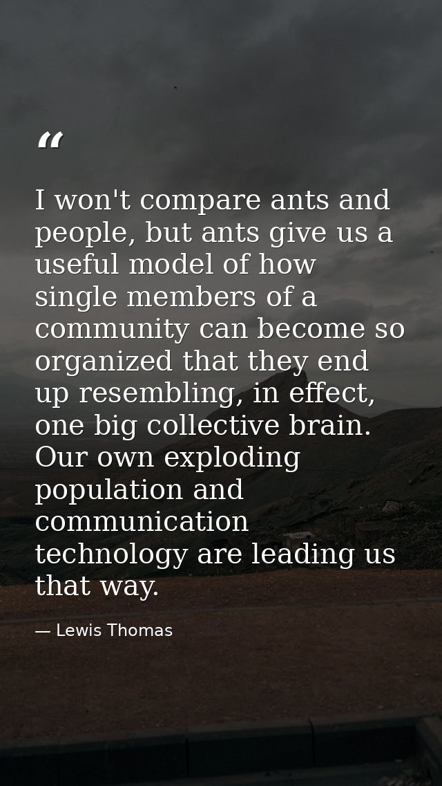 I won't compare ants and people, but ants give us a useful model of how single members of a community can become so orga — Lewis Thomas