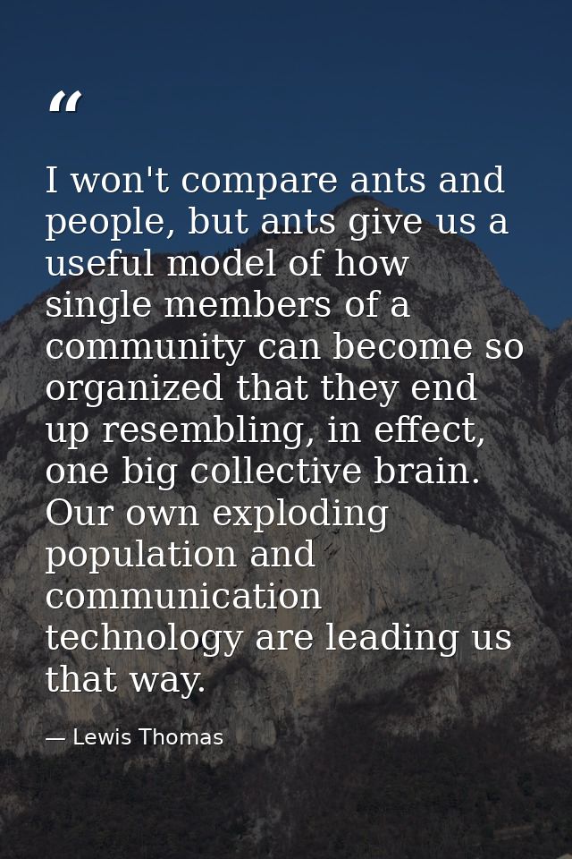 I won't compare ants and people, but ants give us a useful model of how single members of a community can become so orga — Lewis Thomas