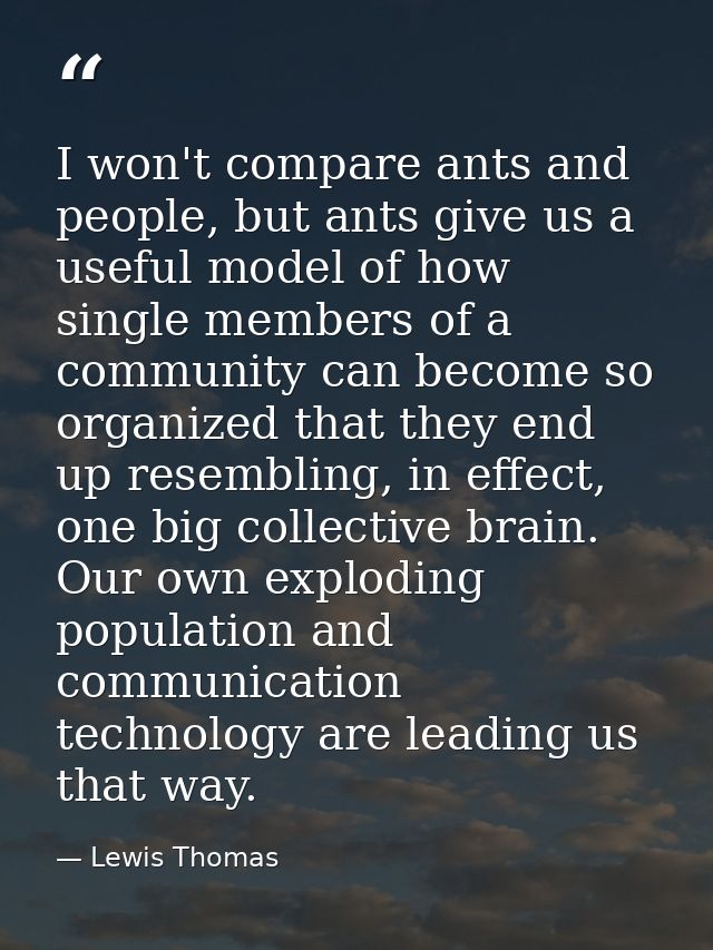 I won't compare ants and people, but ants give us a useful model of how single members of a community can become so orga — Lewis Thomas