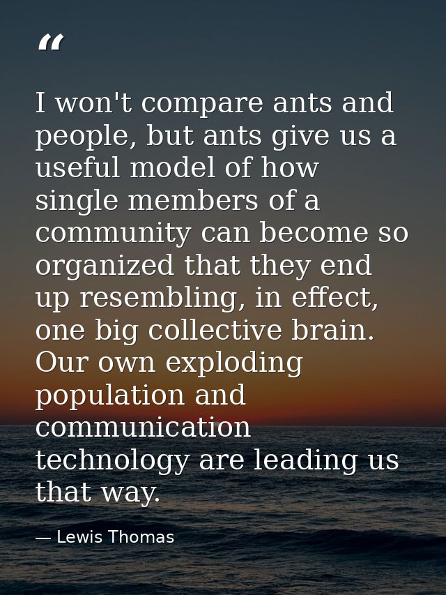 I won't compare ants and people, but ants give us a useful model of how single members of a community can become so orga — Lewis Thomas