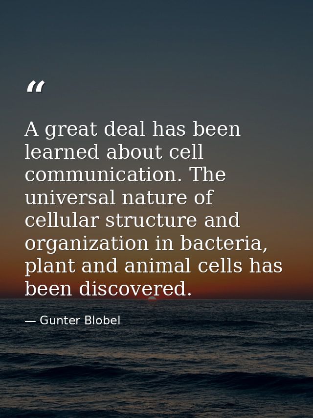 A great deal has been learned about cell communication. The universal nature of cellular structure and organization in b — Gunter Blobel