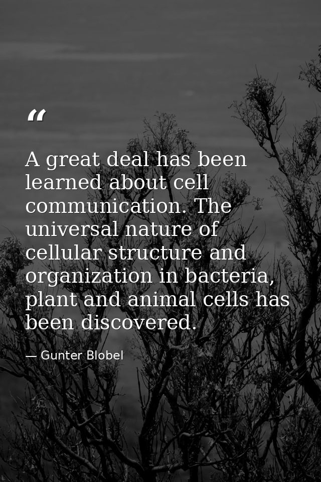 A great deal has been learned about cell communication. The universal nature of cellular structure and organization in b — Gunter Blobel