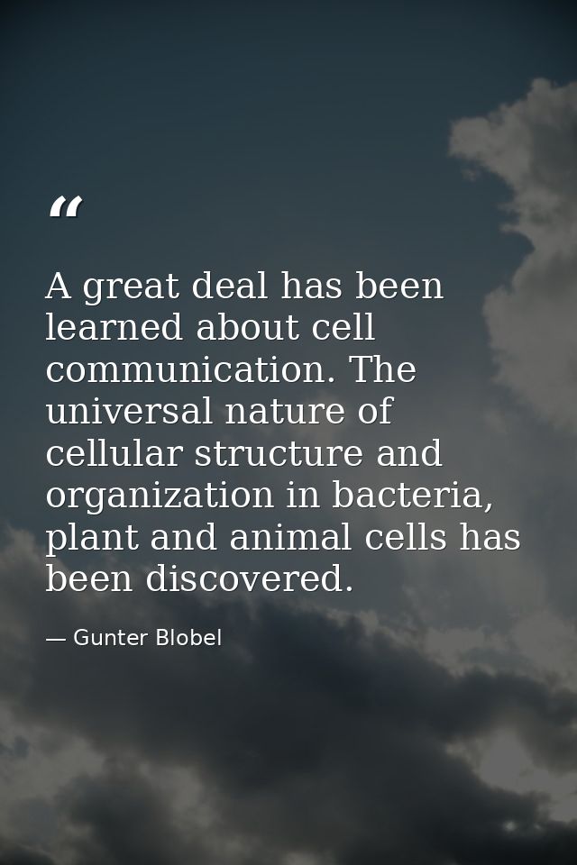 A great deal has been learned about cell communication. The universal nature of cellular structure and organization in b — Gunter Blobel