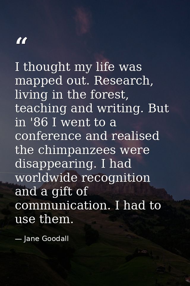 I thought my life was mapped out. Research, living in the forest, teaching and writing. But in '86 I went to a conferenc — Jane Goodall