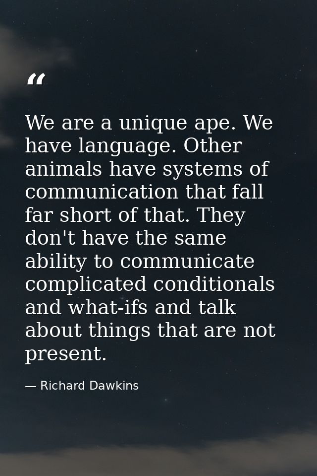 We are a unique ape. We have language. Other animals have systems of communication that fall far short of that. They don — Richard Dawkins