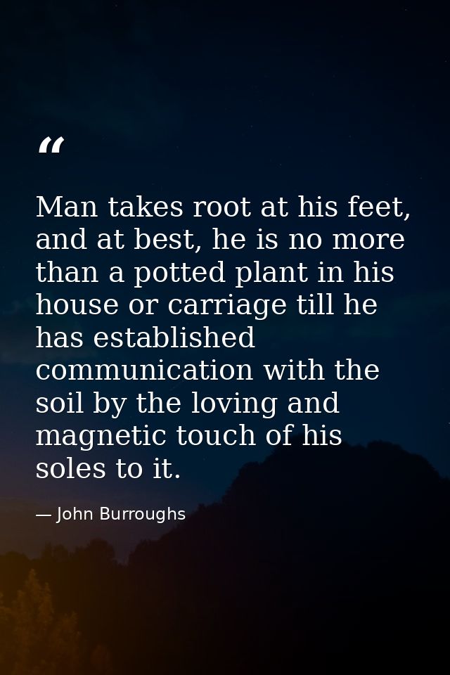 Man takes root at his feet, and at best, he is no more than a potted plant in his house or carriage till he has establis — John Burroughs