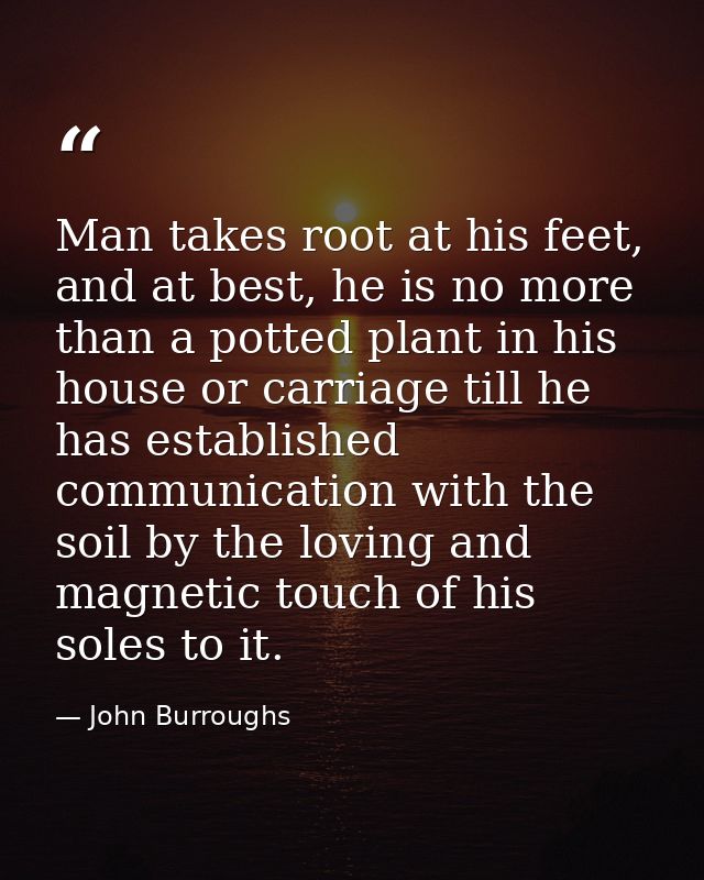 Man takes root at his feet, and at best, he is no more than a potted plant in his house or carriage till he has establis — John Burroughs