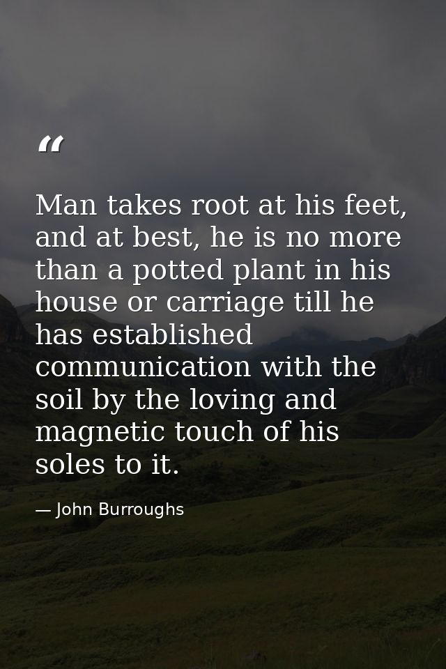 Man takes root at his feet, and at best, he is no more than a potted plant in his house or carriage till he has establis — John Burroughs